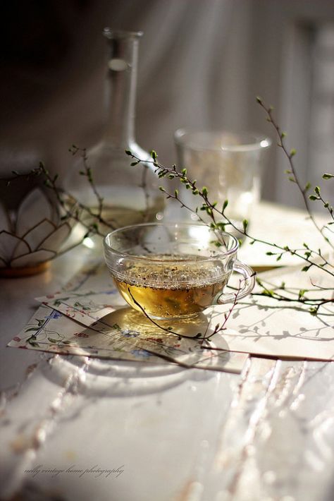 Drinking Tea Aesthetic, Ivy House, Spring Tea, Tea Art, Tea House, Tea Ceremony, Vintage Home, Tea Lover, Food Styling