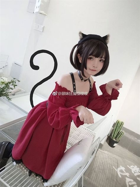 Poses Japanese, Cosplay Poses, Cosplay Cat, Cat Cosplay, Asian Cosplay, Cosplay Cute, Cosplay Kawaii, 일본 패션, Kawaii Cosplay