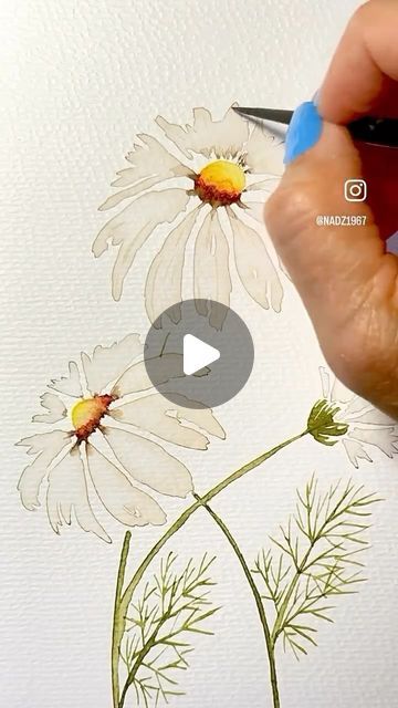 Nadia Sacchetto’s Watercolor Art on Instagram: "Welcome back summer daisies 🌼
Happy Thursday Friends. 
Welcome to all my new followers. 

🌼💛🌼💛🌼💛🌼💛🌼

Artist 👩‍🎨 - follow me for more @nadz1967 
Paints @winsorandnewton 
Paper @artnfly 
Brushes @silverbrushltd sizes 0,2,and 6

🌼💛🌼💛🌼💛🌼💛🌼

🌼💛

🌼💛

🌼💛

🌼💛

🌼💛

#weekend 
#repost 
#daisy 
#new #chill 
#weekend 
#weekendvibes 
#mood 
#motivation 
#motivateothers 
#inspire 
#inspiredaily 
#dailyart 
#dailyinspiration 
#daily 
#design #watercolour 
#artist 
#artoftheday 
#artistsoninstagram 
#paintingoftheday 
#paintingforsale 
#watercolorforbeginners 
#artgallery #artreelsforinstagram #instaart #instagood #instamood #reels #reelsinstagram" Daisy Flower Watercolor, Watercolor Daisy Tutorial, Daisy Watercolor, Simple Watercolor Flowers, Watercolor Daisy, Painting Flowers Tutorial, Learn Watercolor Painting, Watercolor Beginner, Art Tutorials Watercolor