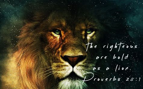 Proverbs 28:1 The righteous are bold as a lion. Lion Face Paint, Bold As A Lion, Lion Motivation, Jesus I Need You, Lion King Tattoo, Lion Sketch, Proverbs 28, Lion King Baby Shower, Lion Quotes