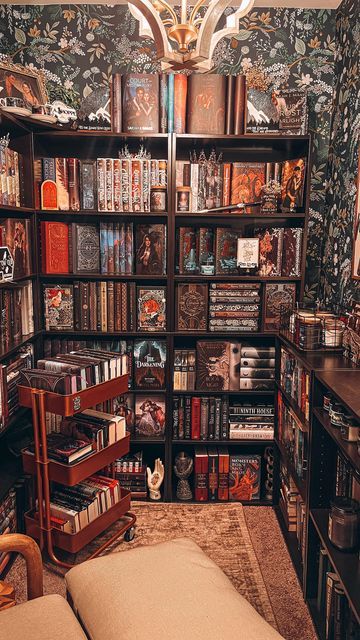 Whimsigoth Home Library, Cottagecore Library Bedroom, Fantasy Themed Home Library, Spooky Library Aesthetic, Personal Library Aesthetic, I’m Home Library, Library Closet, Apartment Library Ideas, Book Closet