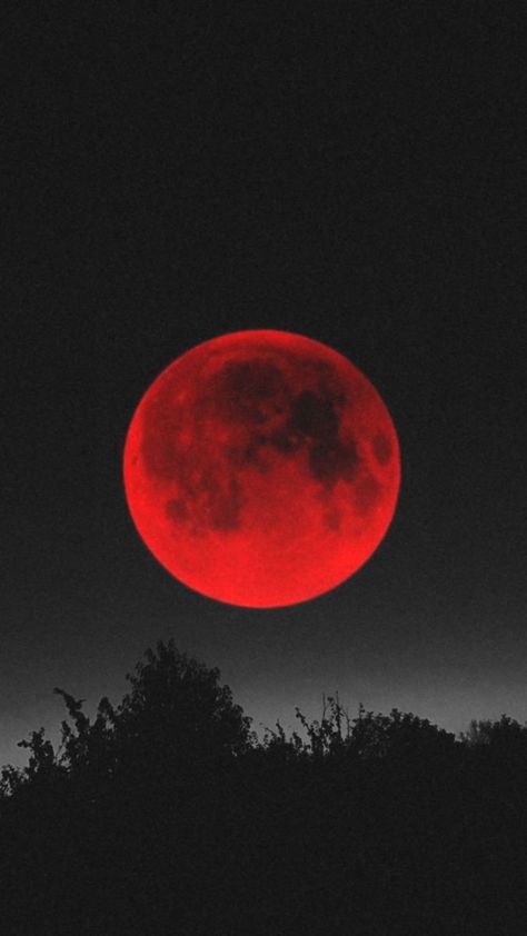 #aesthetic #red #moon #night | Dark red wallpaper, Red and black background, Red aesthetic Black And Red Background Aesthetic, Night Red Aesthetic, Red Planet Aesthetic, Red Space Aesthetic, Red Night Aesthetic, Background Red Aesthetic, Blood Moon Aesthetic, Red Painting Aesthetic, Red Moon Background