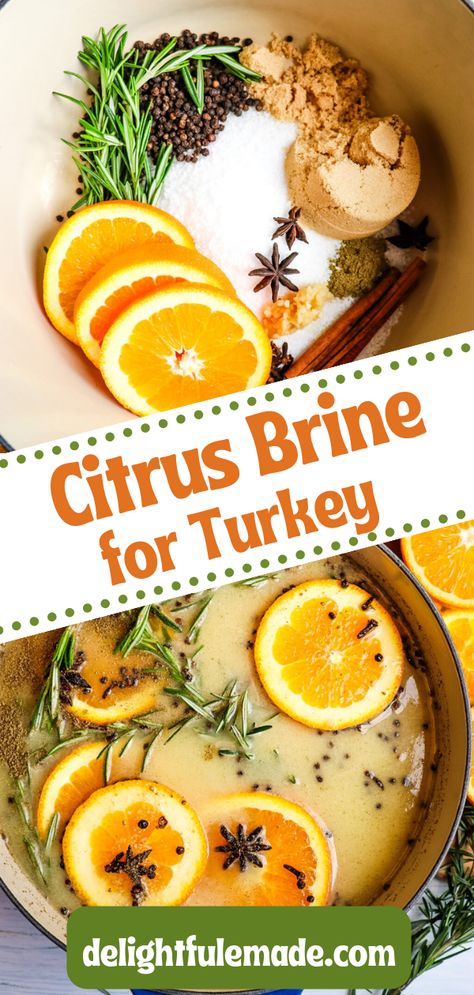 Cider Turkey Brine, Apple Cider Turkey Brine, Citrus Brine, Apple Cider Turkey, Best Turkey Brine, Easy Turkey Brine, Turkey Brine Recipe, Citrus Turkey, Turkey Brine Recipes