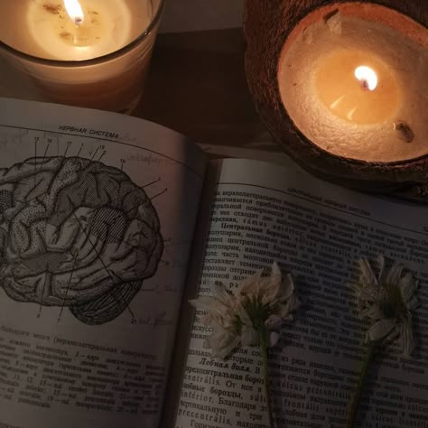 Anatomy science, candles, flowers, dark academia aesthetic 212 Meaning, 123 Meaning, Flowers Dark Academia, Psychologist Aesthetic, Dark Academia Study, Anatomy Science, Candles Flowers, Flowers Dark, Aesthetic Dark Academia