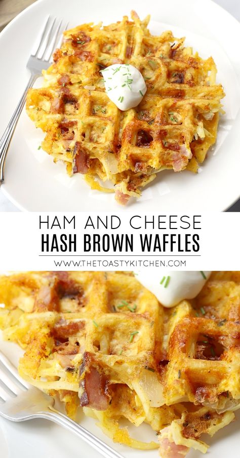 Waffle Savory, Waffle Maker Recipes Breakfast, Hash Brown Waffles, Iron Meals, Mini Waffle Recipe, Savory Waffle Recipe, Crepes Pancakes, Dash Recipes, Kid Cooking