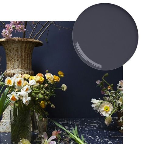 Behr Poppy Seed Behr Poppy Seed Color Palettes, Behr Poppy Seed, Behr Neutral Paint Colors, Neutral Paint Colors Benjamin Moore, Tv Hutch, Victorian House Colors, Paint Pallets, Wall Colour, Paint Color Inspiration