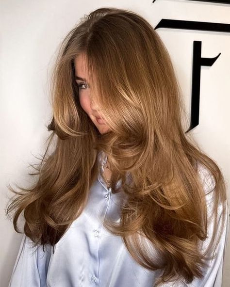 Rambut Brunette, Feminine Hairstyles, Honey Brown Hair, Bouncy Hair, Blonde Hair Inspiration, Blowout Hair, Honey Hair, Hair Stylies, Haircuts For Medium Hair