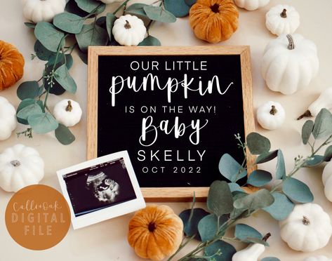 Pumpkin Pregnancy Announcement, Fall Baby Announcement, Baby Due Date, Digital Pregnancy Announcement, Pregnancy Announcements, Baby Announcements, Pumpkin Baby, Bachelorette Trip, Baby Shower Pumpkin