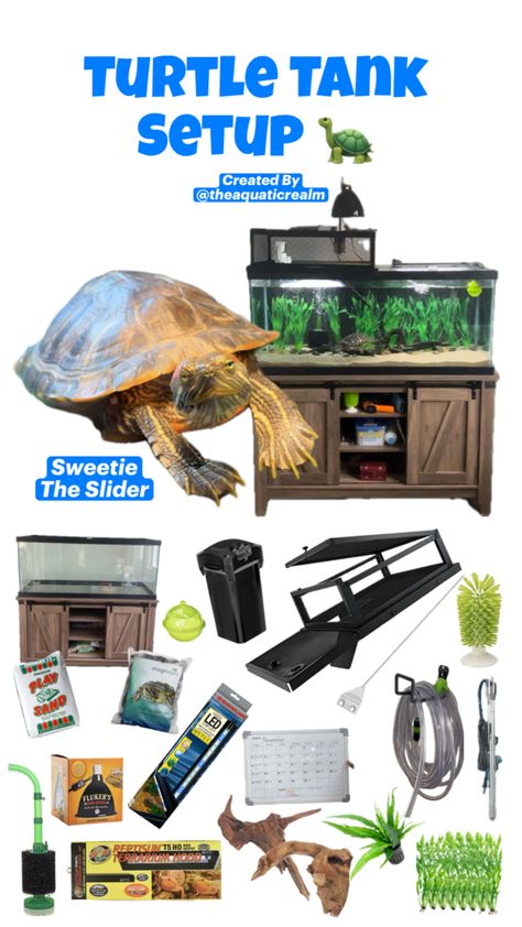 A display of products required for a turtle tank setup. Turtle Setup, Turtle Tank Setup, Red Eared Slider Turtle, Slider Turtle, Red Eared Slider, Turtle Tank, Product Recommendations, Facebook Instagram, My Website