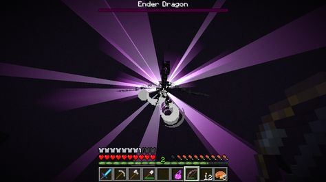 Killed the Ender Dragon The Ender Dragon, Minecraft Screenshots, Minecraft Ender Dragon, Ender Dragon, Minecraft Wallpaper, Minecraft, Vision Board, Quick Saves