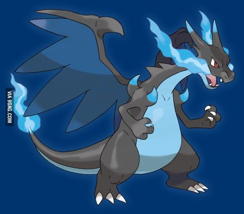 Unova Starters, Pokemon Spark, Marvel Basketball, Gen 5 Pokemon, Charmander Charmeleon Charizard, Pokémon Charizard, Flying Type Pokemon, Mega Charizard, Pokemon Xyz