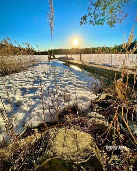 Mikkeli Finnish Aesthetic, Spring Snow, Snow Melting, Fall Semester, Spring Aesthetic, Welcome Spring, Chinese Zodiac, Get To Know Me, Plant Life