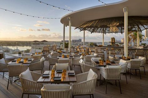 Things to Do in West Palm Beach, Florida: 21 Reasons to Make the Trip - Thrillist West Palm Beach Restaurants, Palm Beach Restaurants, Palm Beach Island, Downtown West Palm Beach, Stunning Hotels, Palm Beach Wedding, West Palm Beach Florida, Rooftop Restaurant, Palm Beach Florida