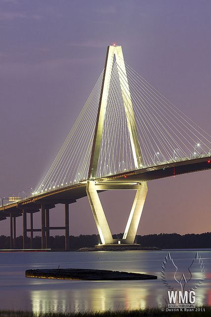 Ravenel Bridge Charleston, Different Types Of Bridges, Best Bridges In The World, Bridge Architecture, Love Bridge, Cable Stayed Bridge, Cooper River Bridge, River Bridge, Bridge Over Troubled Water