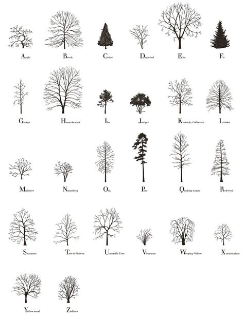 The Tree Alphabet was made by Katie Holten and was used in her book, About Trees (Amazon), which features writing from Jorge Lui... Tree Alphabet, Sketchbook Architecture, About Trees, Public Artwork, Architecture Sketchbook, Tree Sketches, Tree Drawing, Tree Tattoo, Architecture Presentation