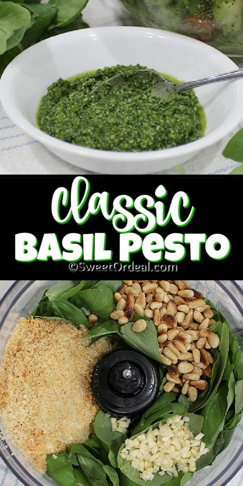 How To Make Pesto With Basil, How To Make Basil Pesto, Steak With Pesto Sauce, Sweet Basil Recipes, Pine Nuts Recipes, Pasta With Pine Nuts Parmesan, Basil Pesto Walnuts Recipe, Easy Pesto Recipe Without Pine Nuts Healthy, Pesto With Pine Nuts Recipes