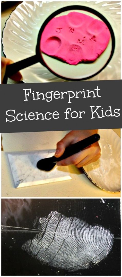 Fingerprint Science, Detective Activity, Science Camp, Science Club, Kid Experiments, Science Activities For Kids, Fair Projects, Stem Projects, Preschool Science