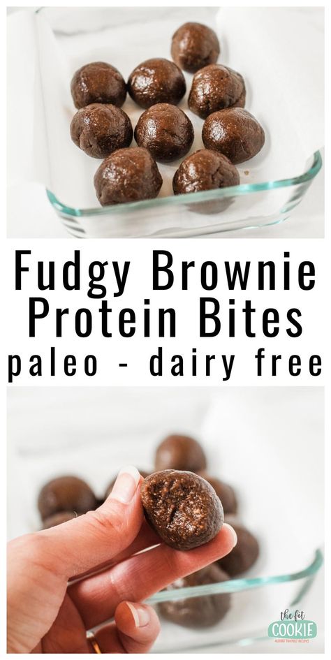 Add more protein to your snack with these yummy Fudgy Brownie Protein Bites! These chocolate protein balls are gluten free, dairy free, peanut free, paleo, and are easy to make! | thefitcookie.com #paleo #proteinbites #dairyfree #peanutfree Peanut Free Protein Snacks, Thm Protein Bites, Paleo Protein Balls, Chocolate Protein Bites, Energy Bite, Chocolate Protein Balls, Dairy Free Protein, Protein Balls Recipes, Paleo Protein