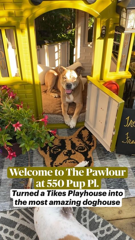 Dog Play Area Indoor Diy, Cute Outdoor Dog Area, Outdoor Dog Bathroom Area, Upcycled Dog House, Dog Interior Ideas, Puppy Zone Ideas, Dog Set Up Outside, Side Dog Yard, Back Yard Set Up For Dogs