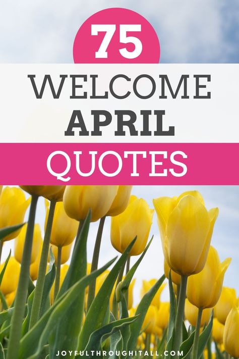 Inspirational welcome April quotes for spring Quotes For April, Funny Short Quotes, Hello Quotes, March Quotes, April Quotes, Short Funny Quotes, Month Of April, Being Used Quotes, Weird Dreams