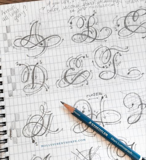 Flourishing Calligraphy, Alfabet Font, Flourish Calligraphy, Lettering Styles Alphabet, Learn Hand Lettering, Calligraphy Tutorial, Copperplate Calligraphy, Calligraphy For Beginners, Alphabet A