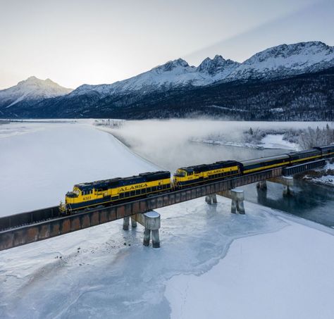 7 Alaska Train Trips You Must Experience From Anchorage | TravelAwaits Alaska In Winter, Alaska Train, A December To Remember, December To Remember, Trip To Alaska, Train Trips, Alaska Railroad, Alaska Wildlife, Winter Trip