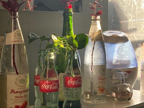 Plants In Coke Bottles, Hydroponic Aesthetic, Plant In Bottle, Coke Bottle Crafts, Glass Coke Bottles, Aesthetic Plants, Plants In Bottles, Blue Plants, Plant Covers