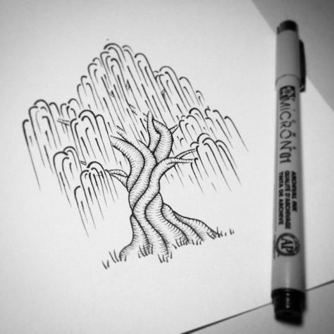 Find me under the willow tree, from the moment I can walk till the day I die Easy Pen Drawing, Landscape Drawing Easy, Tree Drawing Simple, Easy Pencil Drawings, Desenho Tattoo, Nature Drawing, Landscape Drawings, Tree Drawing, Oil Pastels