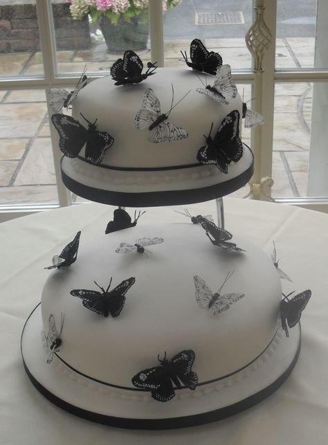 Black and white butterfly cake Black And White Quince, Black Butterfly Cake, Black And White Cake Aesthetic, White Butterfly Cake, Sweet 16 Birthday Cakes Butterfly, White Cake With Butterflies, Sweet 16 Cake Butterfly, Black And White Cake Ideas, Black Cake With Butterflies