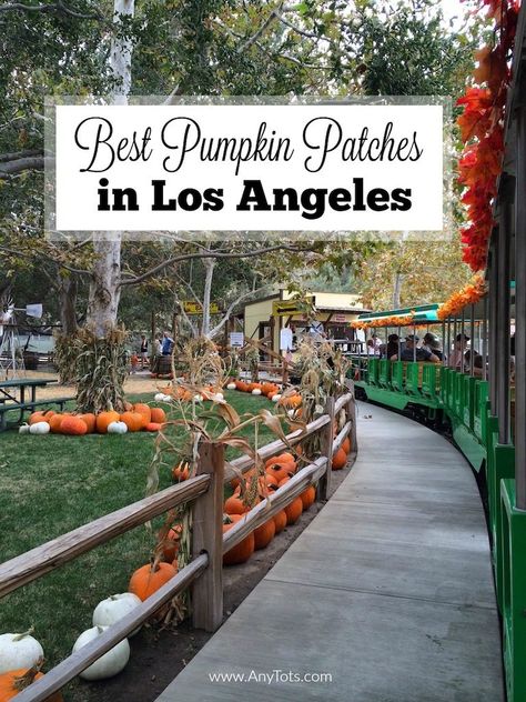 Best Pumpkin Patches in Los Angeles & Orange County in California. November Events, Best Pumpkin Patches, Pumpkin Patches, Best Pumpkin, Autumn Activities, Train Rides, California Travel, Event Calendar, Travel With Kids