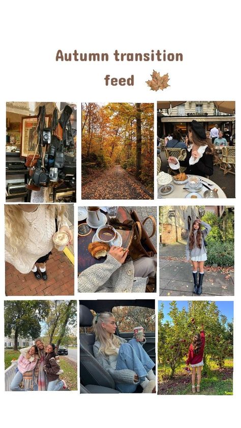 #instafeed #feedinspo #photoinspo #Instagram #fashion #autumnfeed #fallfeed Autumn Instagram Feed, Autumn Instagram, Fall Transition, Instagram Feed Ideas, Insta Feed, Instagram Fashion, Instagram Feed, Photo Ideas, Instagram