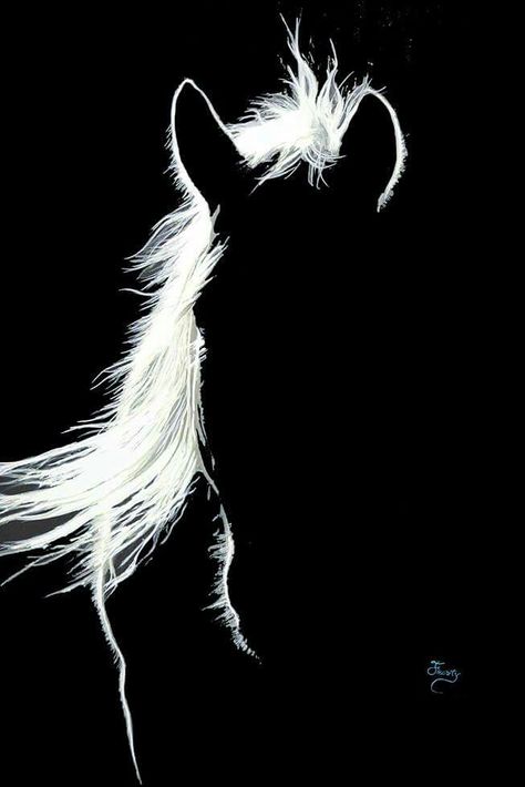 Beautiful Pencil Drawings, Painted Horses, Scratchboard Art, Black Canvas Paintings, Black Paper Drawing, Canvas For Beginners, Horse Portrait, Horse Drawings, Paper Drawing