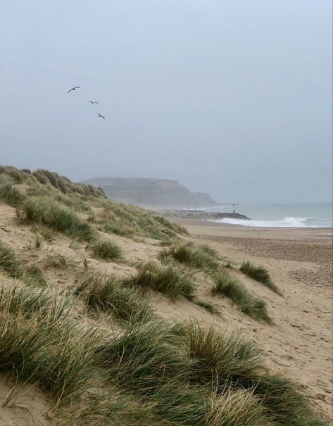 Dorset Beach, Book Mood, Beach Walks, Natural Landscape, Beach Walk, Landscape Photos, Mood Boards, Country Roads, Forest