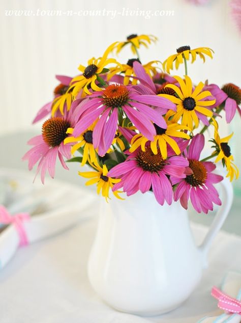 Black Eyed Susan Flower, Farmhouse Flowers, Black Eyed Susans, Colorful Flowers Arrangements, Summer Flower Arrangements, Summer Table Settings, Prettiest Bouquet, Summer Table, Favorite Flower