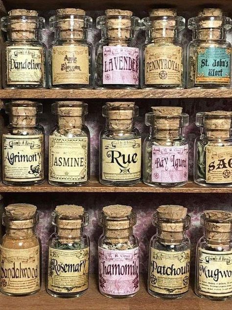 Witch Herbs, Magia Das Ervas, Buku Harry Potter, Witchy Crafts, Witch House, Potion Bottle, Witch Aesthetic, Kitchen Witch, Spell Book