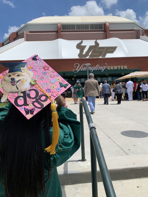 Graduation Cap idea dedicated to dog Dog Graduation Cap, Funny Grad Cap Ideas, Grad Hats, Grad Hat, Grad Caps, Cap Decoration, Graduation Picture Poses, Graduation Cap Designs, Cap Ideas