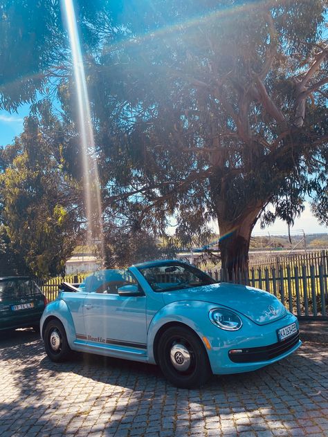 My blue VW Beetle under summer lights Light Purple Volkswagen Beetle, Blue Beetle Car, Blue Volkswagen Beetle, Blue Vw Beetle, Beetle Girl, Summer Lights, Blue Convertible, Vw Beetle Convertible, Beetle 2012