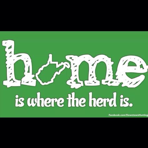 Go Herd We Are Marshall, Marshall Football, Dorm Door Decorations, University Dorms, Marshall University, Country Roads Take Me Home, University Logo, Sports Logos, Play Baseball