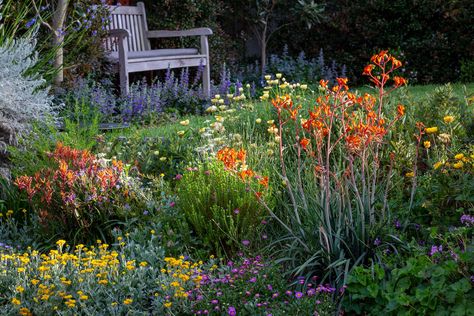 Australian Cottage, Garden Tools Design, Cabin Garden, Australian Garden Design, Memorial Gardens, Bush Garden, Australian Natives, Australian Native Garden, Meadow Garden