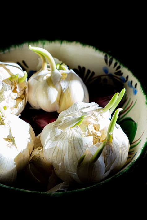 Can You Eat Sprouted Garlic? Yes, But There’s a Catch… Freeze Celery, Store Celery, How To Freeze Celery, How To Store Celery, Store Garlic, Celery Recipes, How To Store Garlic, 30 Minute Dinners, Cooking 101