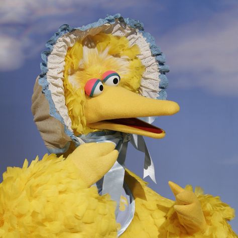 Bird Aesthetic, Big Bird Sesame Street, Big Birds, Sesame Street Muppets, Blue Bonnet, Silly Puppets, Fraggle Rock, The Muppet Show, Pfp Aesthetic