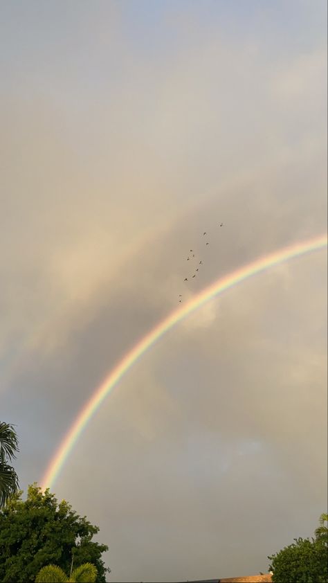 #rainbow #birds #sky Rainbow Birds, Pretty Rainbow, Rainbow Sky, Verses Wallpaper, Amazing Nature Photography, Sky Pictures, Sky Aesthetic, Amazing Nature, Real Photos