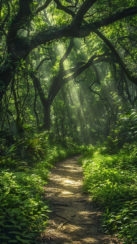 "Mystical #NatureWalk: A serene #Trail winds through a lush, sunlit #Woods, casting enchanting light through the dense foliage. #ScenicView #NatureLovers #ArtOfNature #DownloadMagic ⬇️ Download and 📝 Prompt 👉 https://stockcake.com/i/mystical-forest-path_864297_1112426" Beautiful Woods Forests, Fairies In The Woods, Pathway In Forest, Dappled Light Forest, Forest Scenery Photography, Forest Aesthetic Bright, Deep Woods Aesthetic, Enchanted Forest Aesthetic Light, Forest Meadow Aesthetic