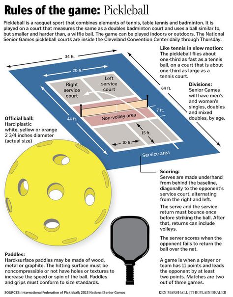 National Senior Games: How to play pickleball Pickleball Rules, How To Play Tennis, Elementary Pe, Pe Activities, Senior Games, Wiffle Ball, Pe Ideas, Badminton Court, Pe Games