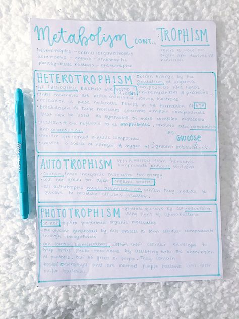 #neathandwriting #neatnotes #prettynotes #metabolism Metabolism Notes Biology, Metabolism Notes, Anatomy Notes Aesthetic, Biological Molecules, Notes Biology, Anatomy Notes, Basic Anatomy, Medical Notes, Nursing School Essential