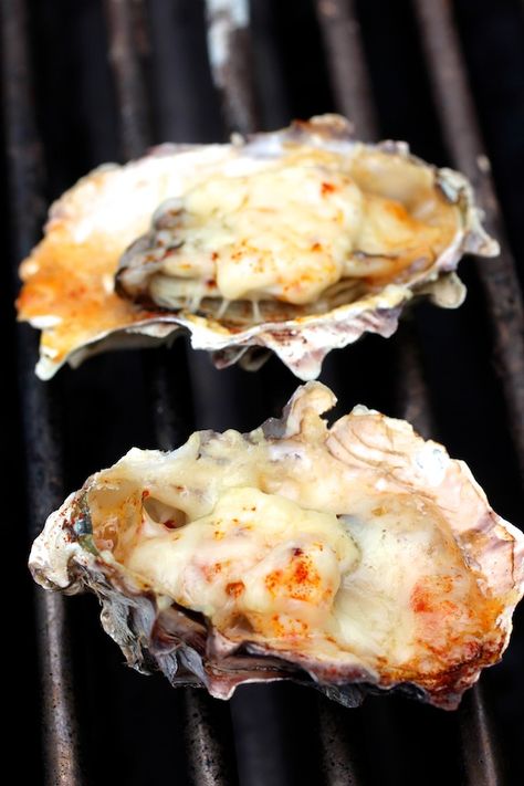 Grilled Oyster - (Parmesan, Mayo, Smoked Paprika) Oysters Recipes, Oyster Stew, Oysters Rockefeller, Oyster Roast, Grilled Oysters, Creole Cooking, Oyster Recipes, Seafood Entrees, Super Food