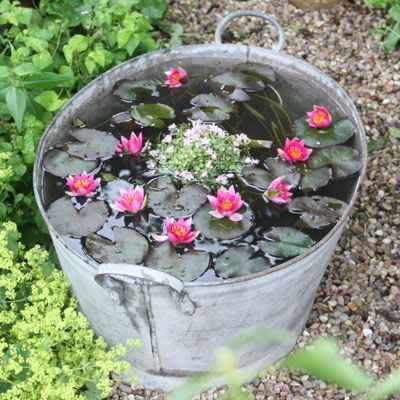 What container can I use to make a miniature pond in a pot Small Backyard Ponds, Container Pond, Mini Pond, Lily Seeds, Taman Air, Lotus Seeds, Upcycle Garden, Cottage Garden Design, Garden Types