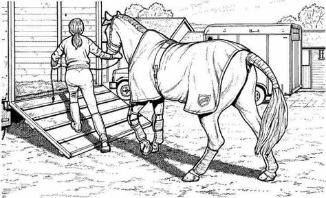 Gotta figure out how to draw a ramp Horse Drawing Tutorial, Cowboy Artwork, Horse Coloring Books, Horse Animation, Farm Coloring Pages, Horse Art Drawing, Horse Sketch, Farm Animal Coloring Pages, Comic Book Art Style