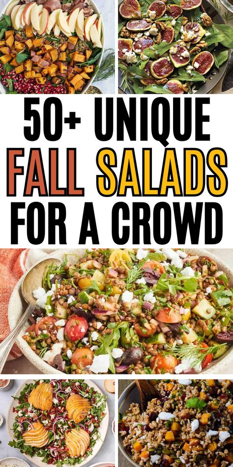 Easy fall salad recipes for a crowd, with apples, pears, and butternut squash or the best harvest salad ideas. Fall Vegetable Salad Recipes, October Salad Recipes, Fall Themed Side Dishes, Fall Side Salad Recipes, Harvest Recipes Fall, Healthy Potluck Side Dishes, Fall Potato Salad, Salads For Large Groups, Fall Luncheon Menu Ideas