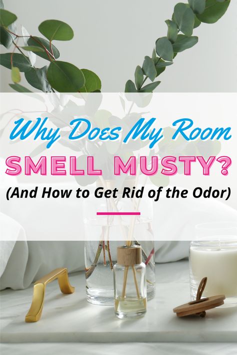 How To Make My Bedroom Smell Good, How To Make Ur Room Smell Nice, Room Odor Eliminator Diy, How To Get Rid Of Odors In House, My House Smells Musty, Closet Odor Eliminator, Make Bedroom Smell Good, How To Get Musty Smell Out Of Clothes, How To Make Apartment Smell Good